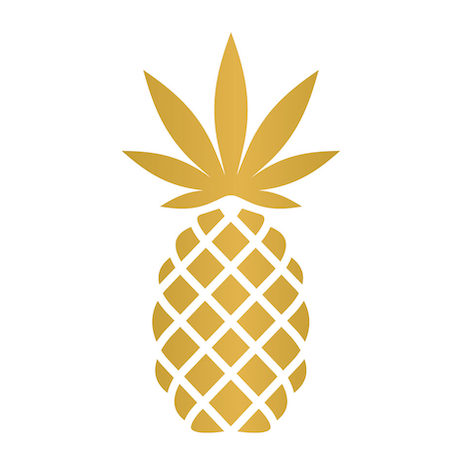 pineapplewellness.com-logo