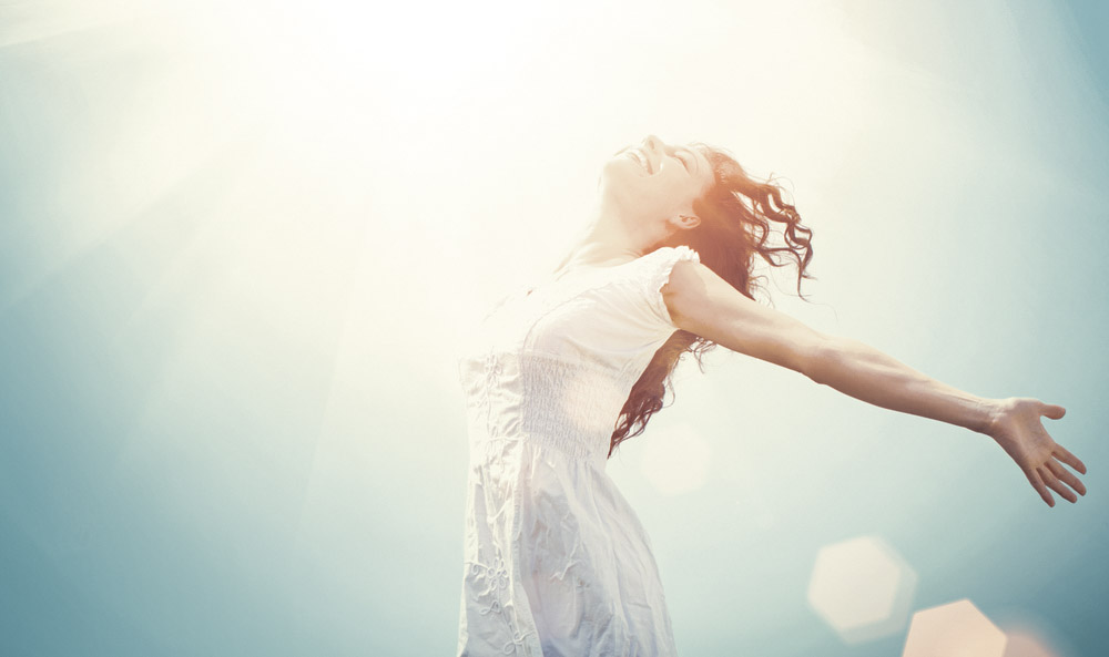 endocannabinoids vs phytocannabinoids