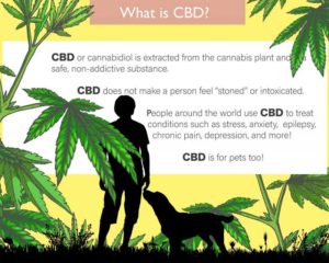 What-is-CBD-pastel-800×640