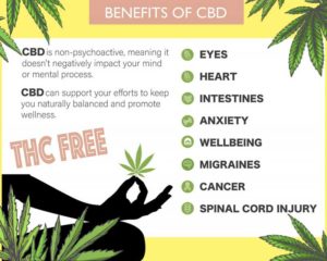 benefits-of-cbd-infographic-5-pastel-800×640