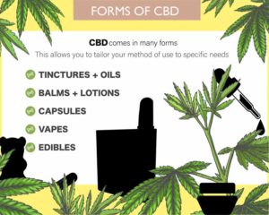 forms-of-cbd-pastel-800×640
